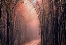 南宫28官方网站：英超-詹姆斯任意球绝平 切尔西2-2伯恩茅斯.