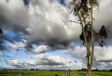 [欧冠]G组第5轮：曼城3-2莱比锡 集锦.