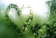 [天下足球]阿德耶米梅开二度 多特力克海登海姆.